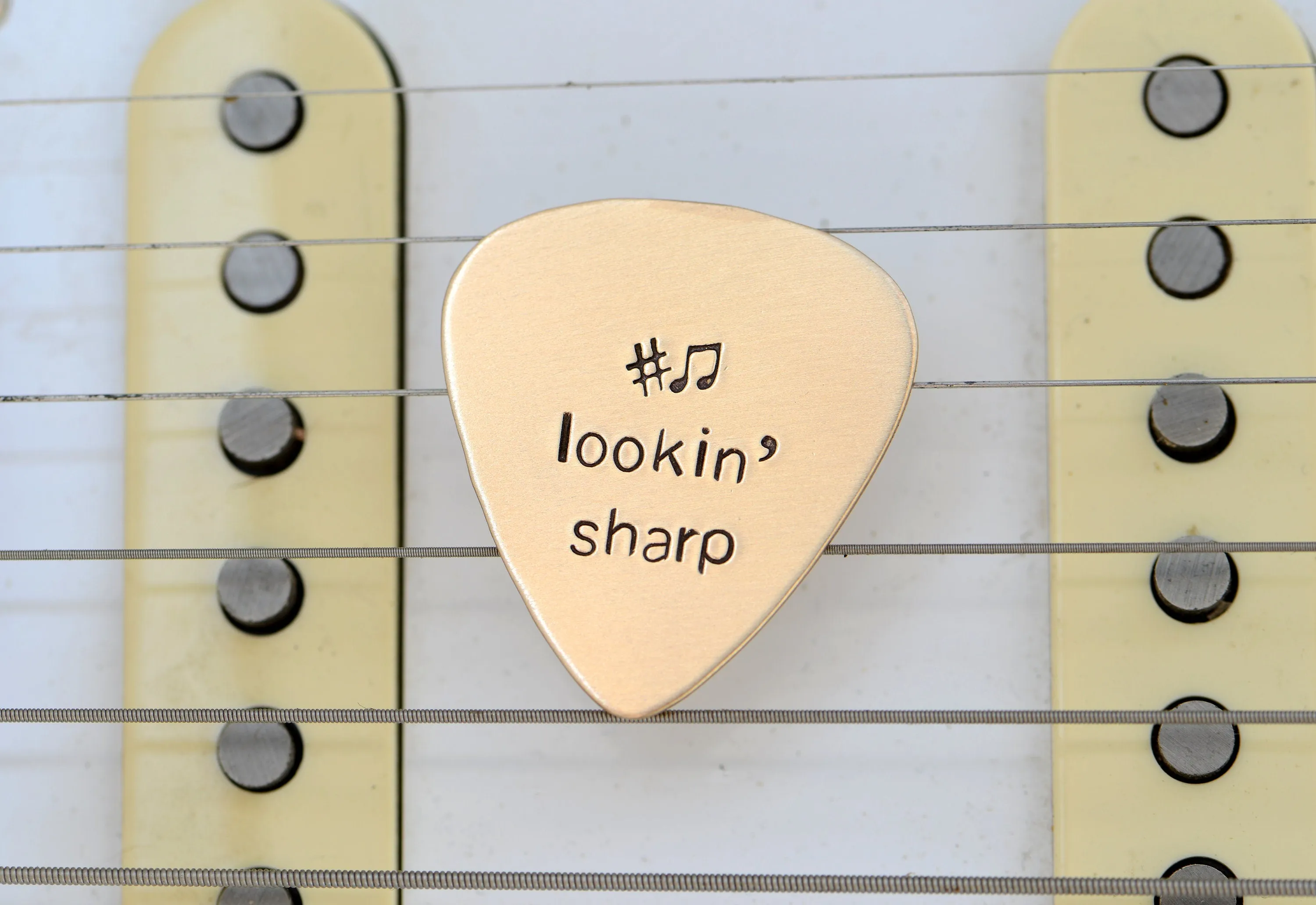Lookin’ Sharp Guitar Pick in Bronze