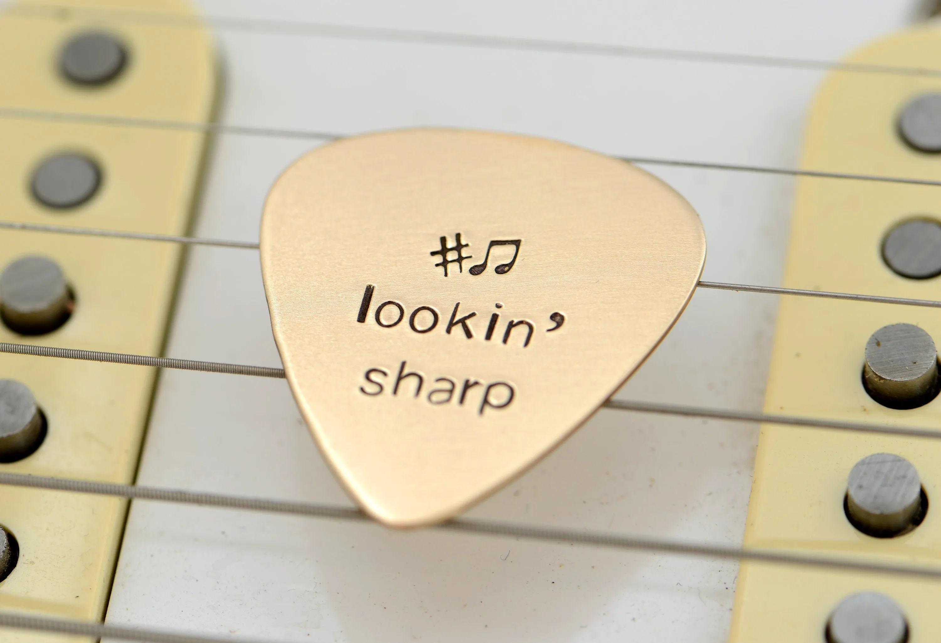 Lookin’ Sharp Guitar Pick in Bronze