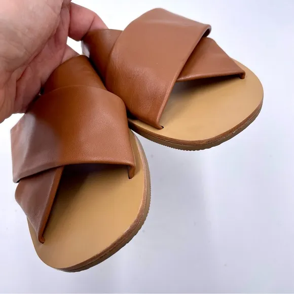 NEW Everlane Sienna Brown Leather Day Crossover Sandal in Size 7