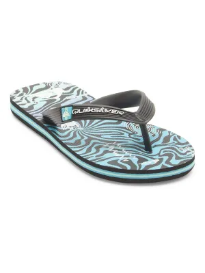 Quiksilver Boys Molokai Art II Flip Flops