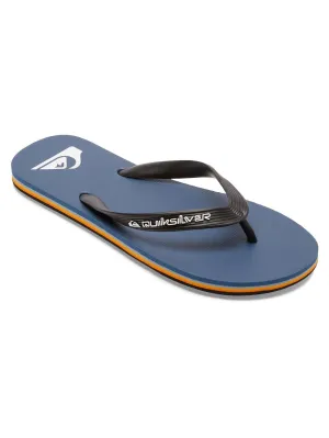 Quiksilver Men's Molokai Core Flip Flop